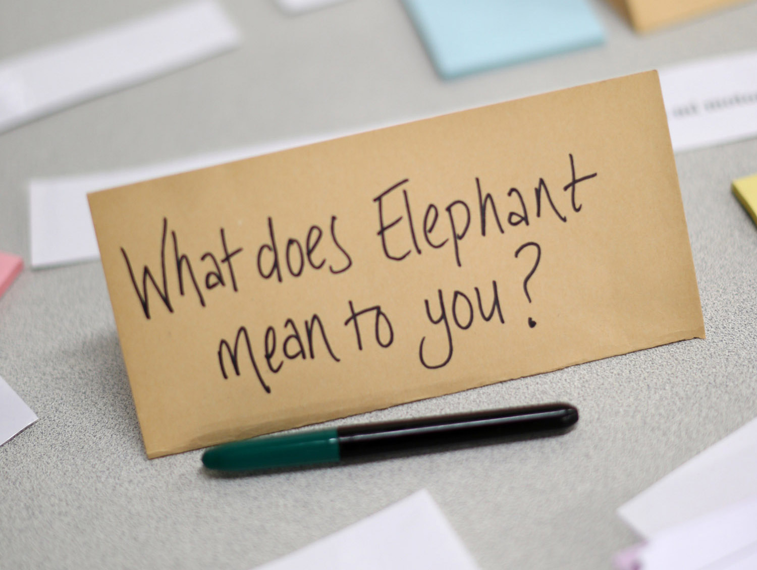 My Latin Elephant